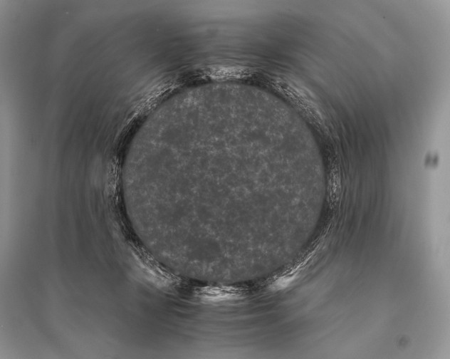 X0000094910367200712201203