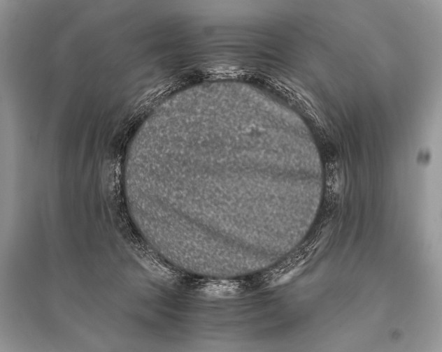 X0000094910369200712201203