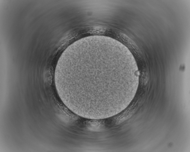 X0000094910370200712201203