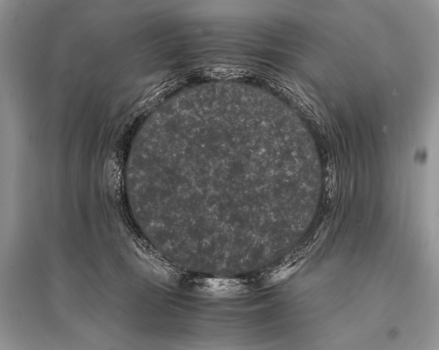 X0000094910371200712201203