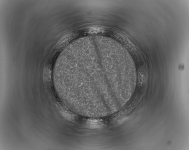 X0000094910375200712201203