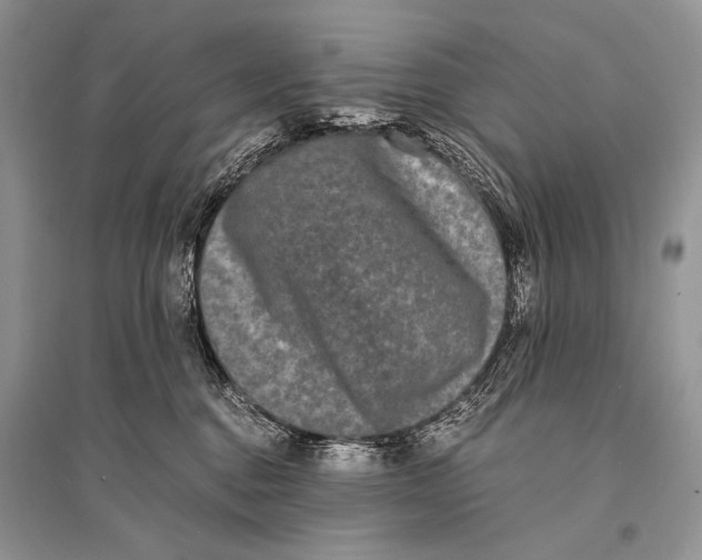 X0000094910376200712201203