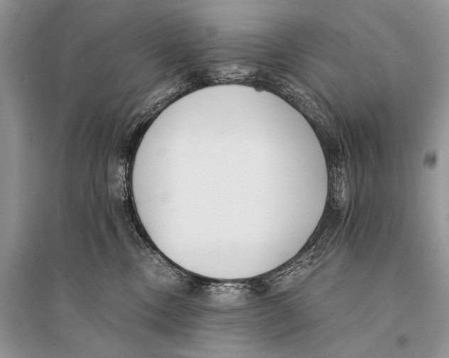 X0000094910378200712201203