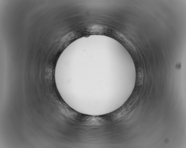 X0000094910379200712201203