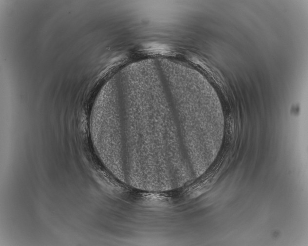 X0000094910380200712201203