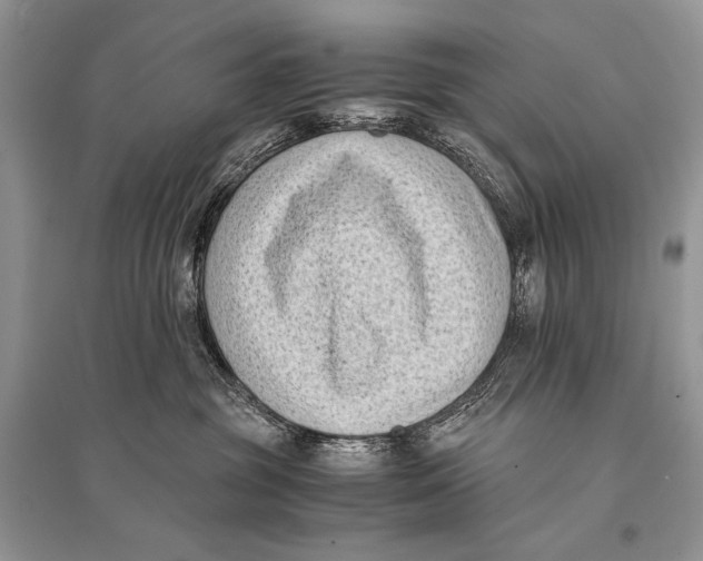 X0000094910381200712201203