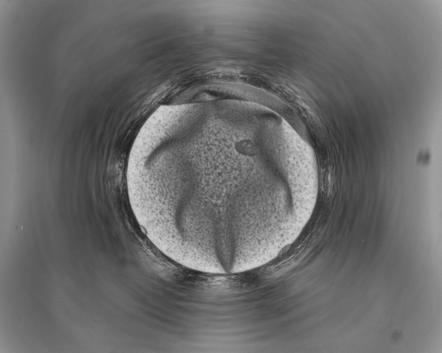 X0000094910382200712201203