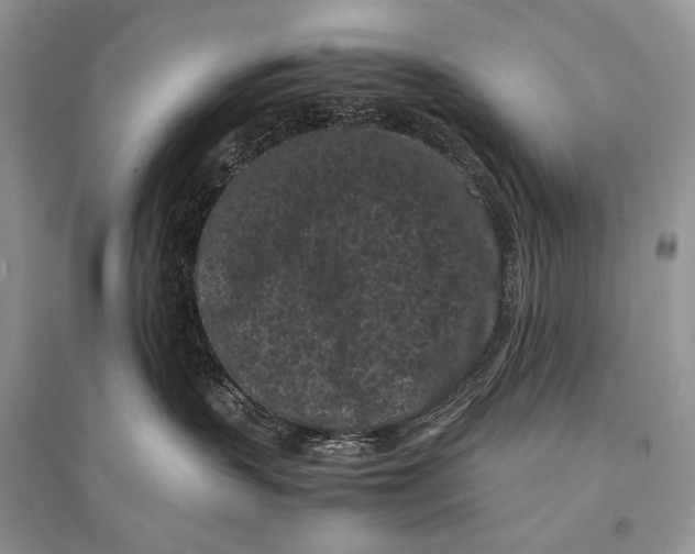 X0000094910383200712201203