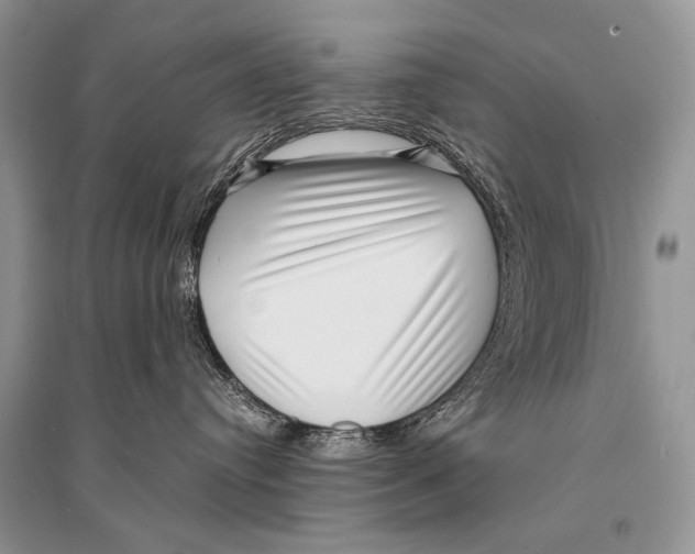 X0000094910384200712201203