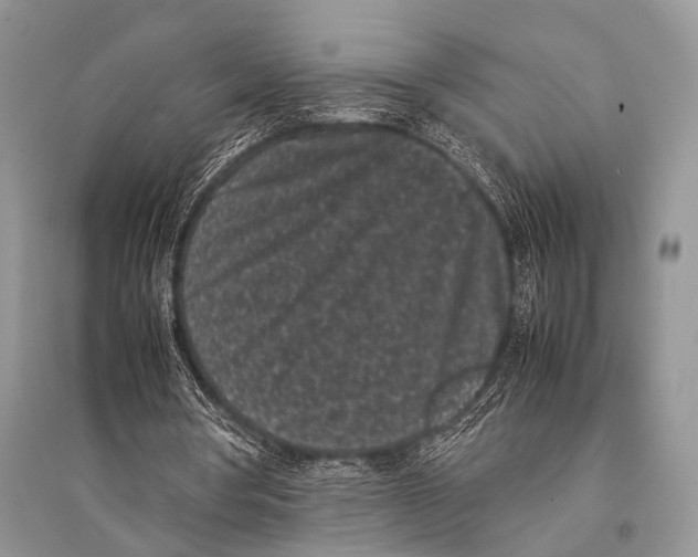 X0000094910386200712201202