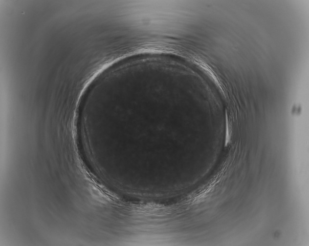 X0000094910387200712201202