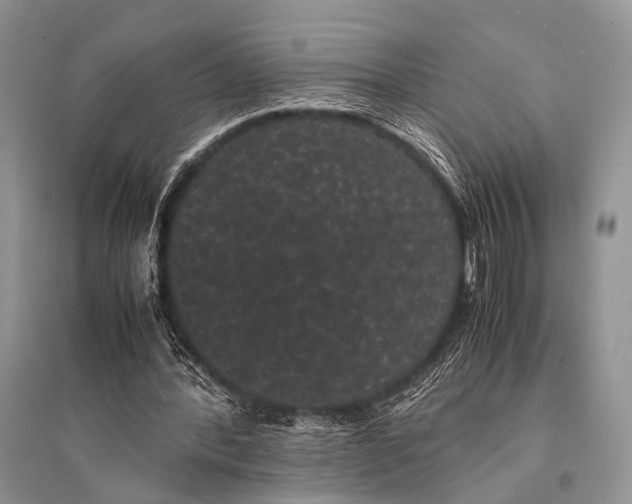 X0000094910388200712201202