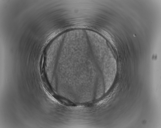 X0000094910389200712201202