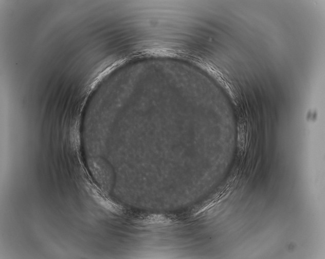 X0000094910390200712201202