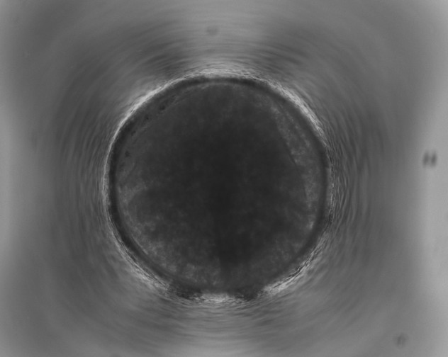 X0000094910391200712201202