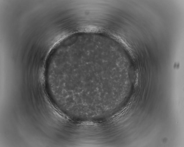 X0000094910392200712201202