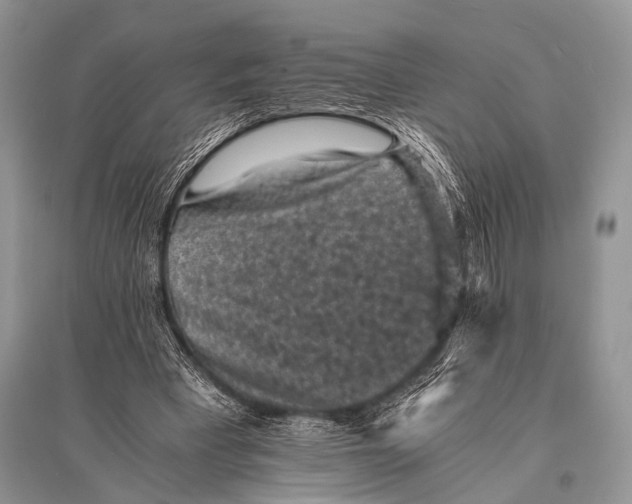 X0000094910393200712201202