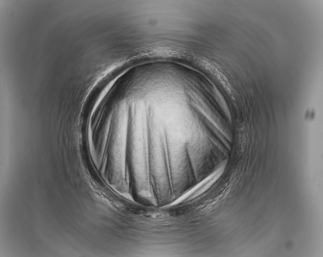 X0000094910395200712201202