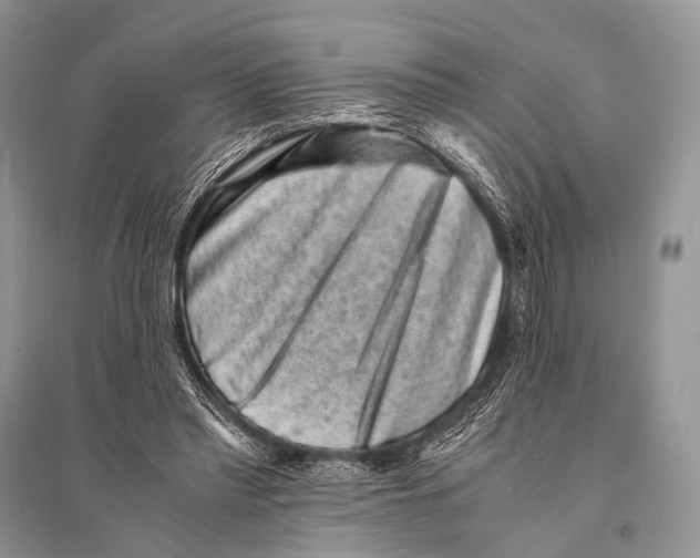 X0000094910397200712201202