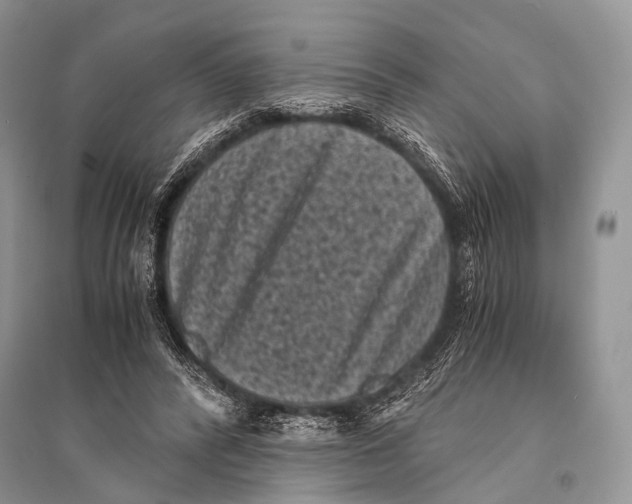 X0000094910400200712201202