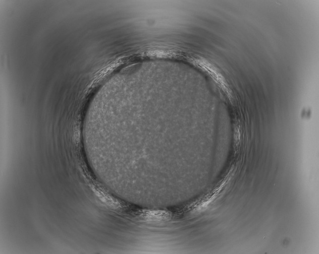 X0000094910401200712201202