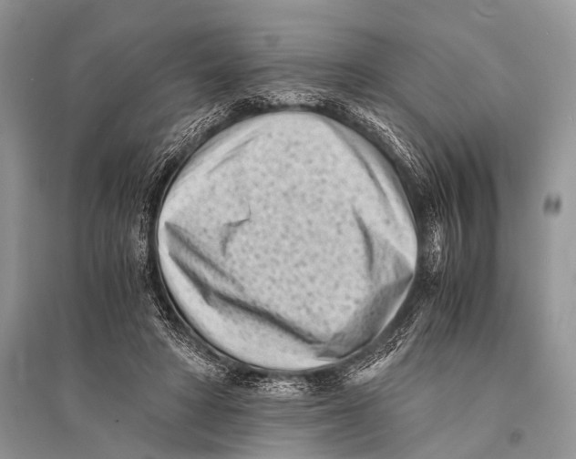 X0000094910402200712201202