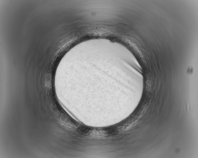 X0000094910403200712201202