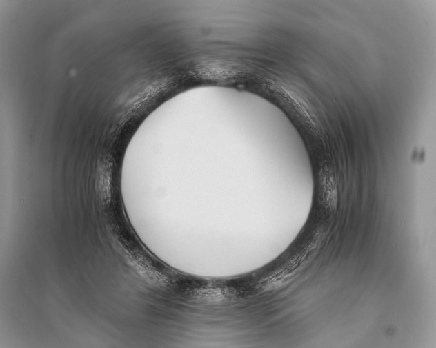 X0000094910404200712201202