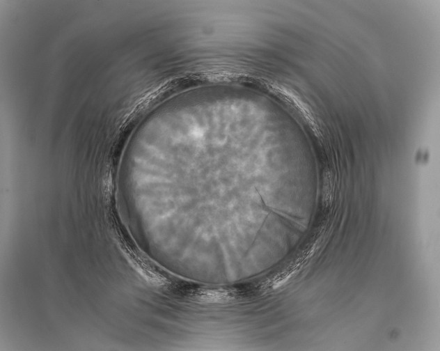 X0000094910405200712201202