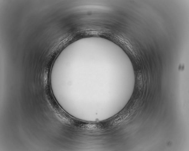 X0000094910406200712201202