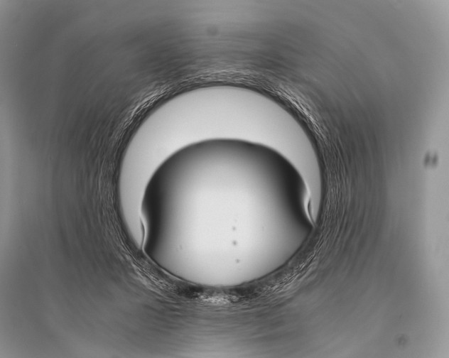 X0000094910407200712201202