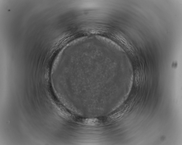 X0000094910410200712201202