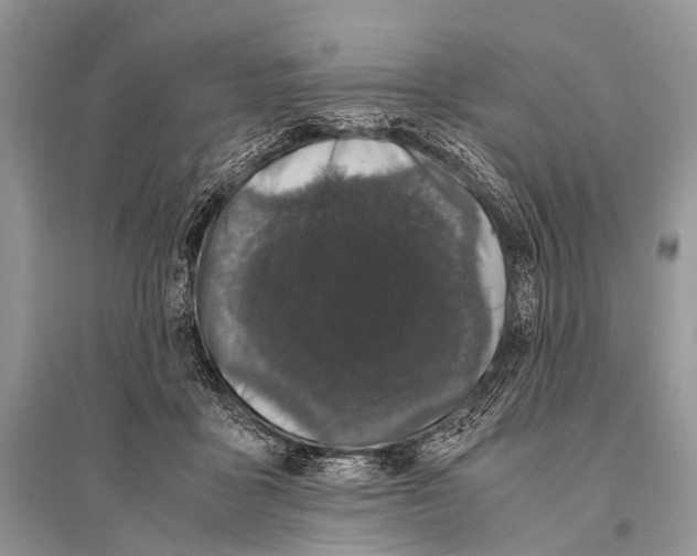 X0000094910411200712201202