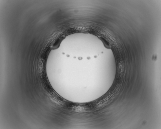 X0000094910412200712201202