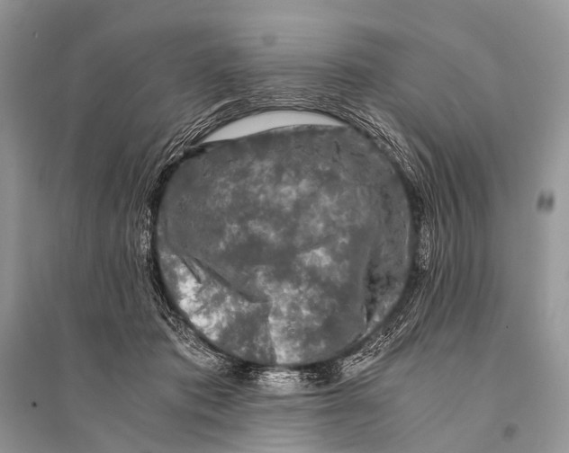 X0000094910413200712201202