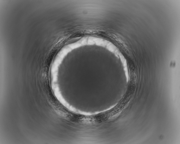 X0000094910415200712201202