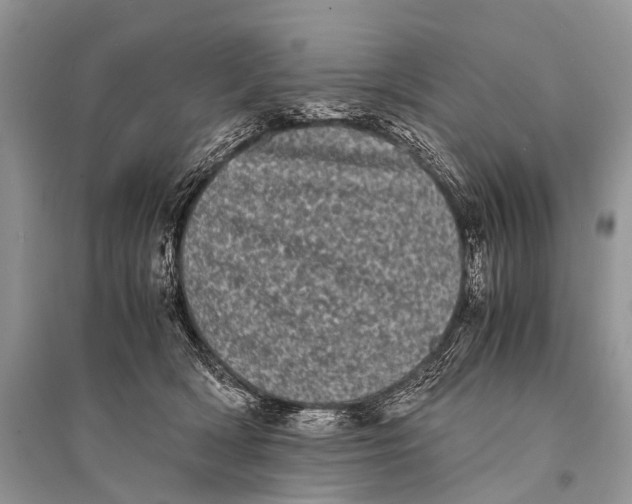 X0000094910418200712201202