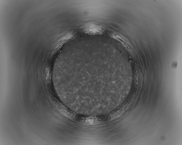 X0000094910420200712201202