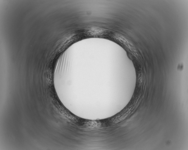 X0000094910421200712201202