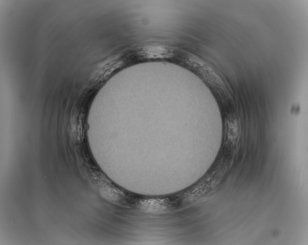 X0000094910422200712201202