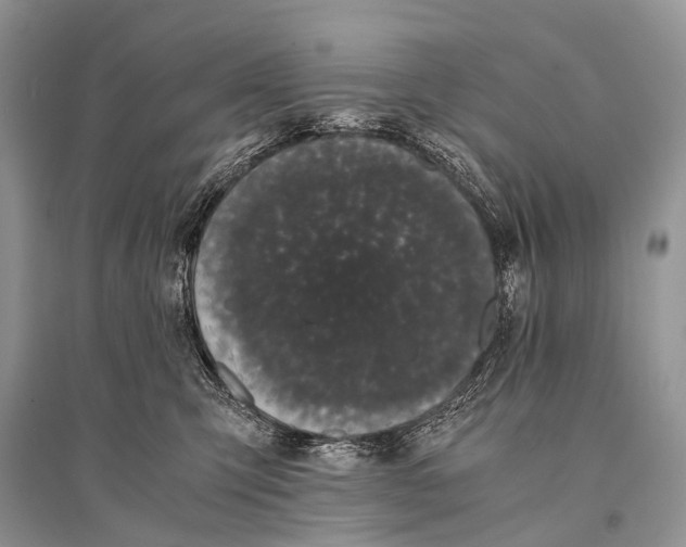 X0000094910423200712201202