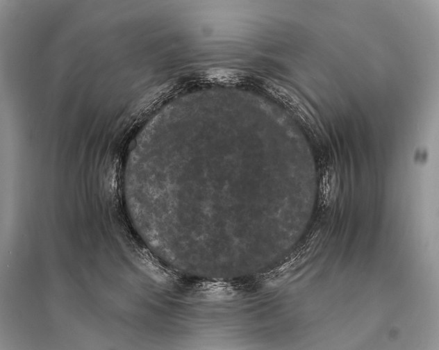 X0000094910424200712201202