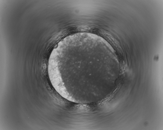 X0000094910427200712201202