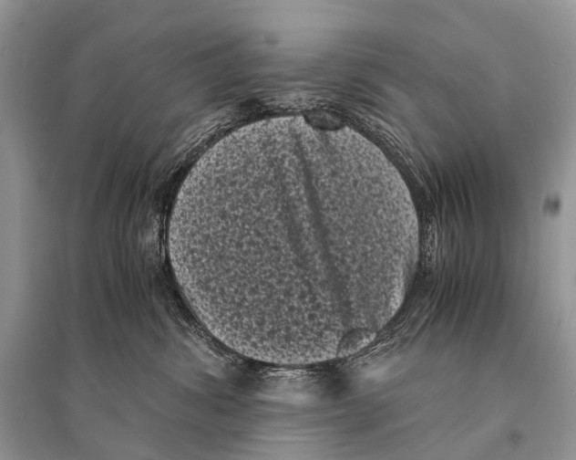 X0000094910428200712201201