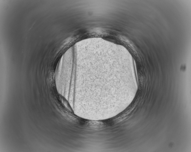 X0000094910429200712201201