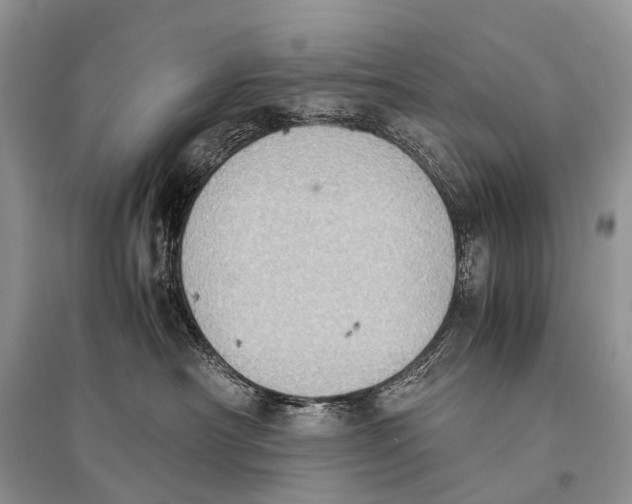 X0000094910430200712201201