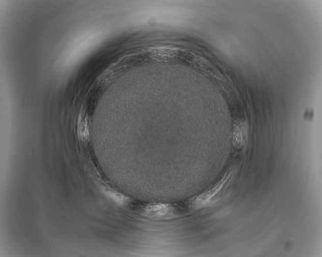 X0000094910431200712201201