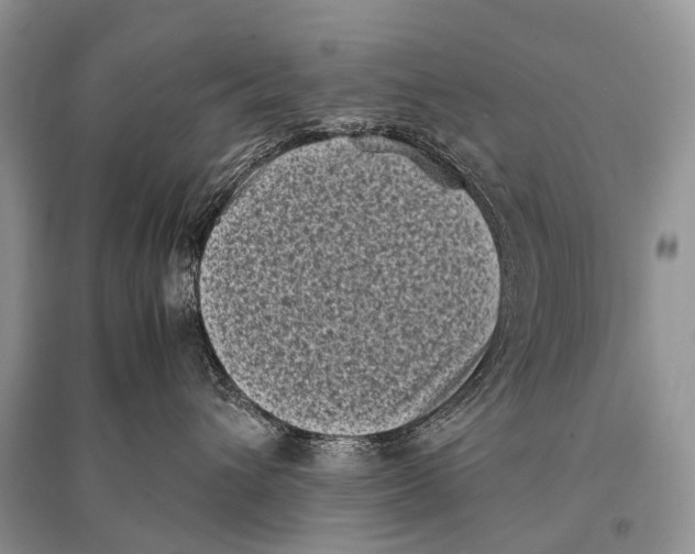 X0000094910432200712201201