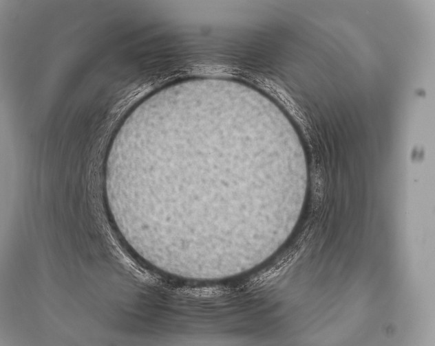 X0000094910433200712201201