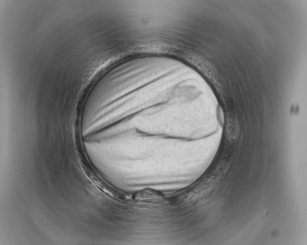 X0000094910434200712201201